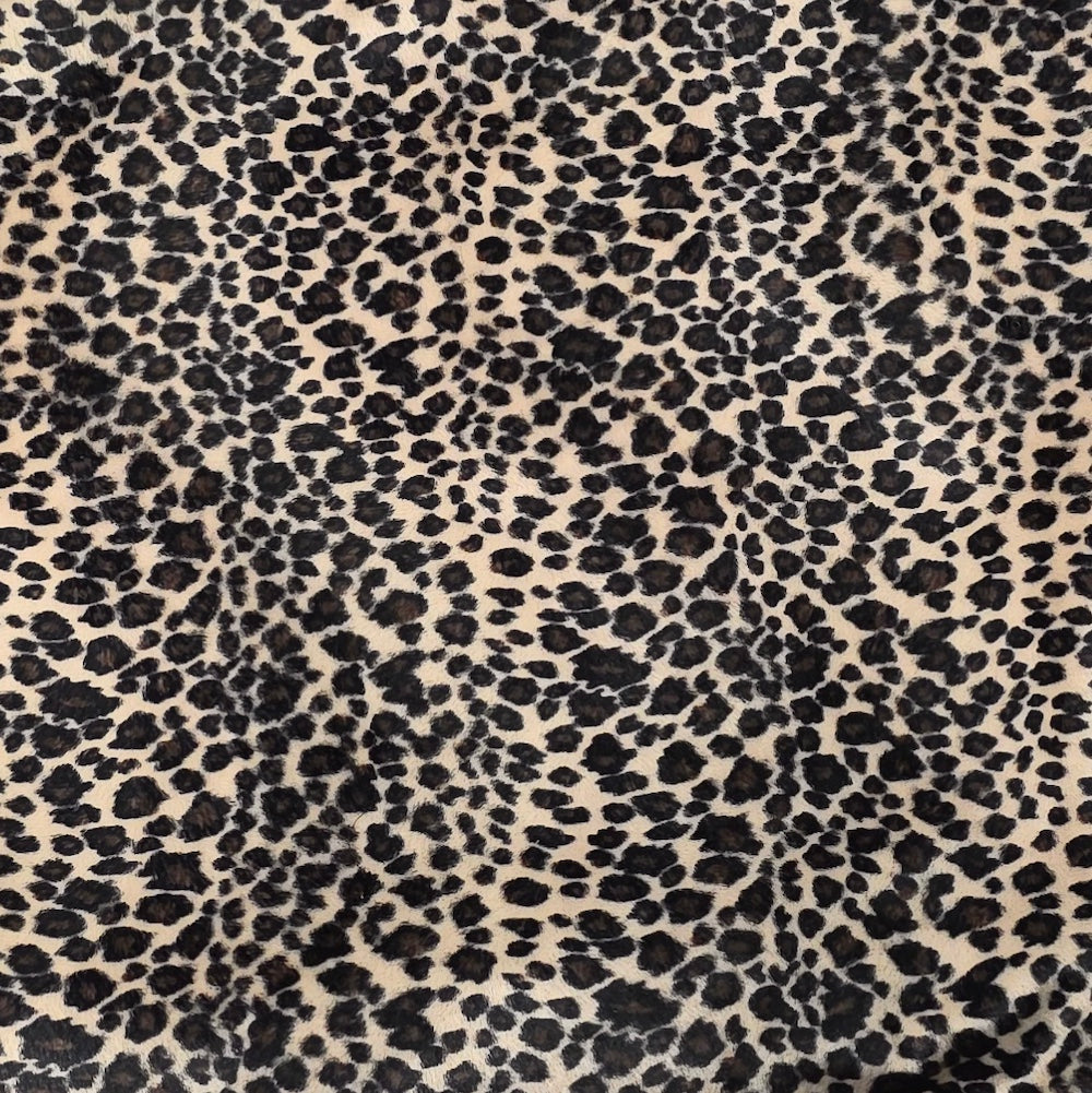 Honda Grom Jaguar Leopard Cheetah Pony - Choose your favorite!